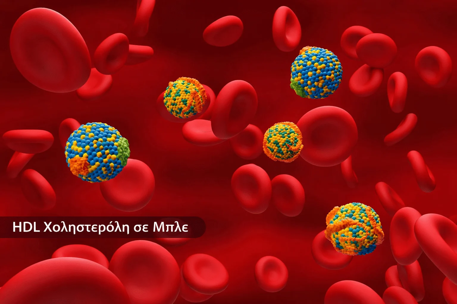 128c6bcc a1f9 484b b622 ca91b8ec304d