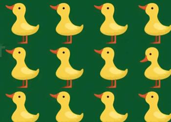 Μόνο όσοι έχουν μεγάλο IQ μπορούν να εντοπίσει το περίεργο παπάκι σε 15 δευτερόλεπτα