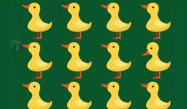 Μόνο όσοι έχουν μεγάλο IQ μπορούν να εντοπίσει το περίεργο παπάκι σε 15 δευτερόλεπτα