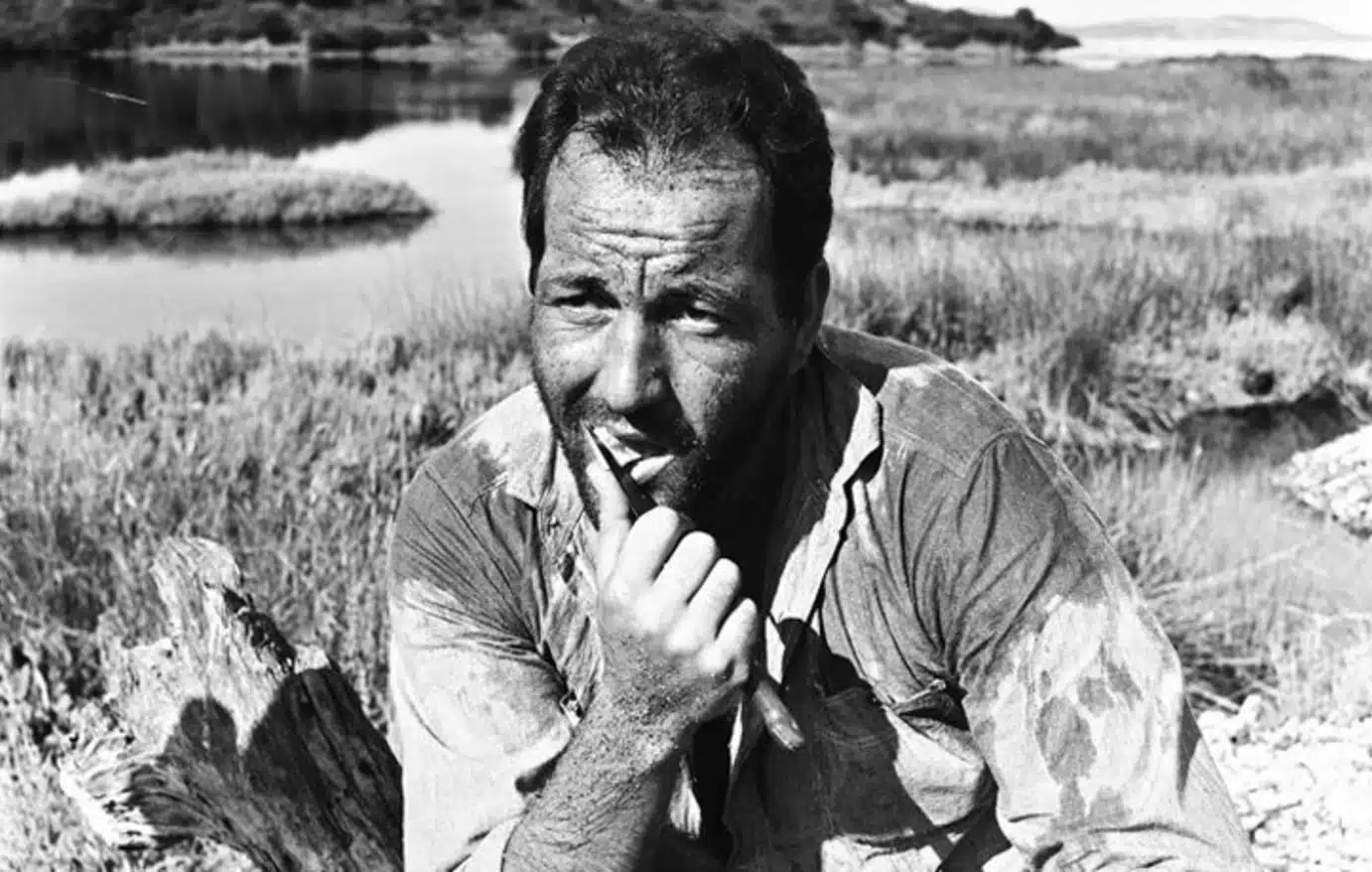 biiizzlalannninnnsom000