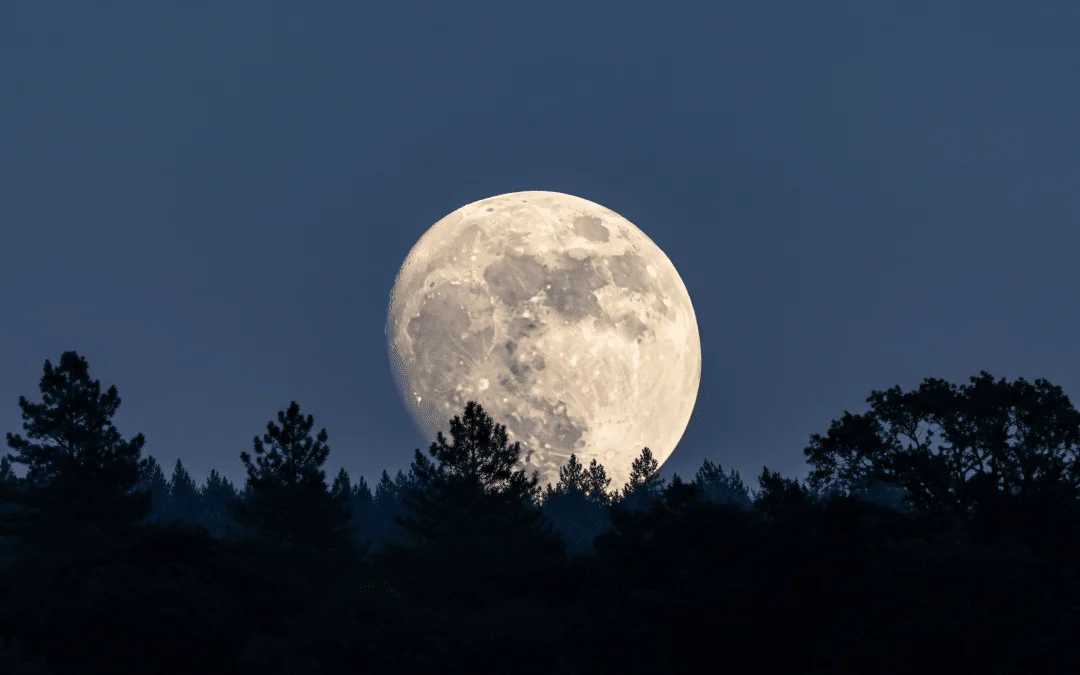Πανσέληνος στον Λέοντα - 4 ζώδια θα ζήσουν ένα «δράμα» τις επόμενες μέρες 1 full moon over forest2 vedic astrology ayurveda scaled 1 1080x675 1