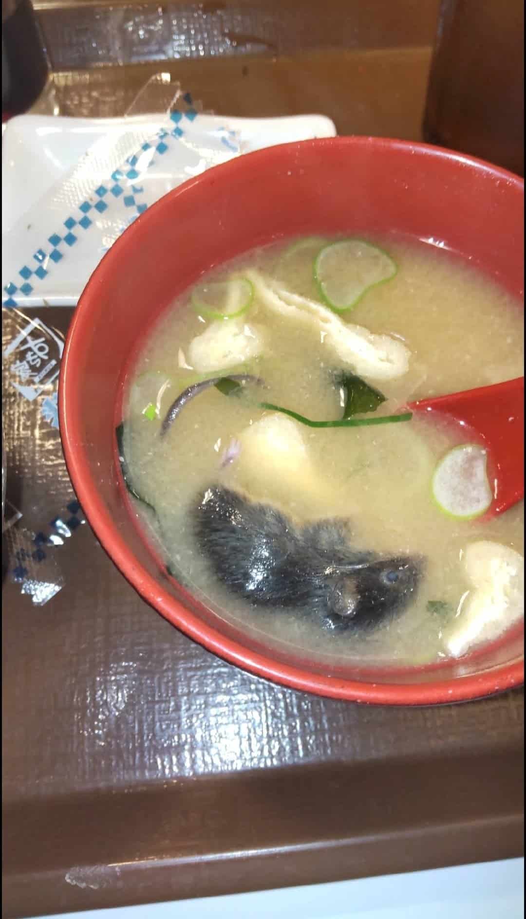 «Λουκέτο» σε καταστήματα γνωστής αλυσίδας ταχυφαγείων – Ποντίκι και έντομο βρέθηκαν σε πιάτα 1