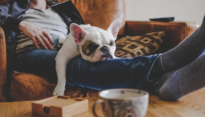 Κουραστήκατε από την κακή κυκλοφορία και τους κιρσούς; Δοκιμάστε αυτά τις 6 αποτελεσματικές συμβουλές 4 inactivity