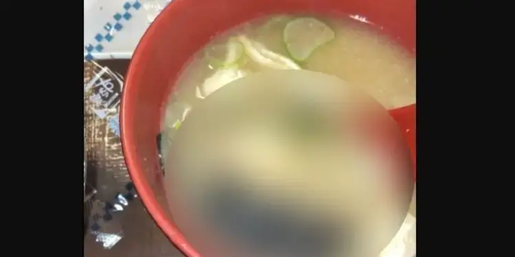 «Λουκέτο» σε καταστήματα γνωστής αλυσίδας ταχυφαγείων – Ποντίκι και έντομο βρέθηκαν σε πιάτα