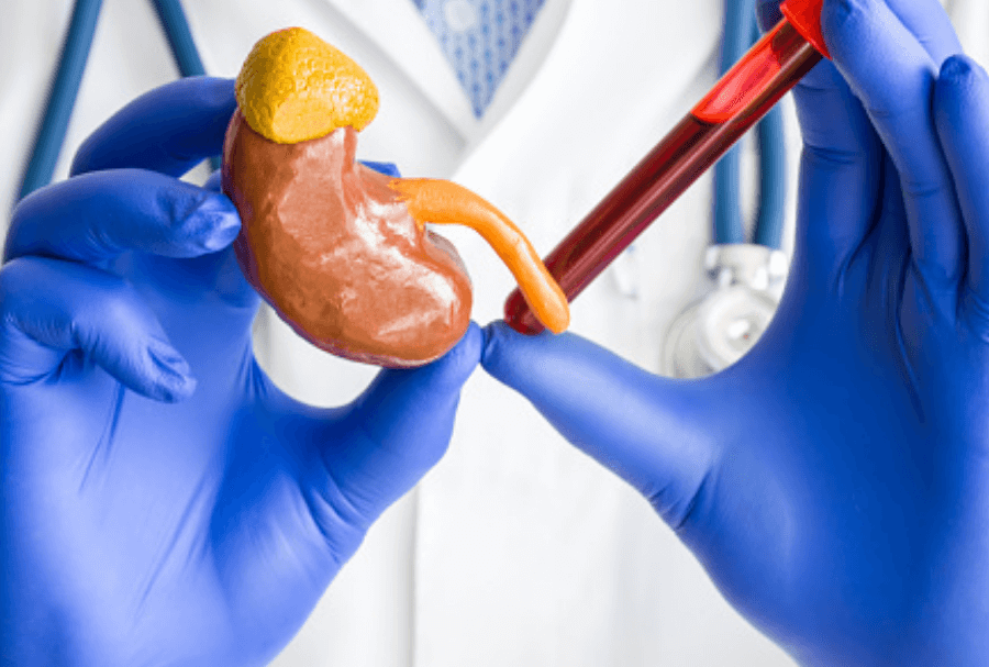 schedio choris titlo 1 10