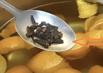 Βράζοντας φλούδες πορτοκαλιού και γαρίφαλα: η παλιά συνήθεια των γιαγιάδων μας