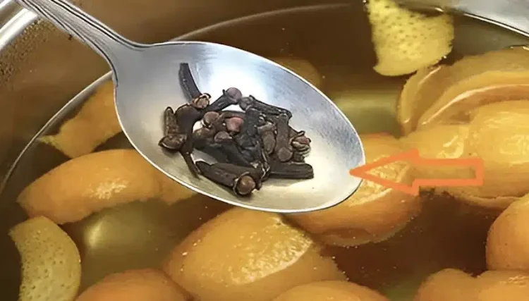 Βράζοντας φλούδες πορτοκαλιού και γαρίφαλα: η παλιά συνήθεια των γιαγιάδων μας