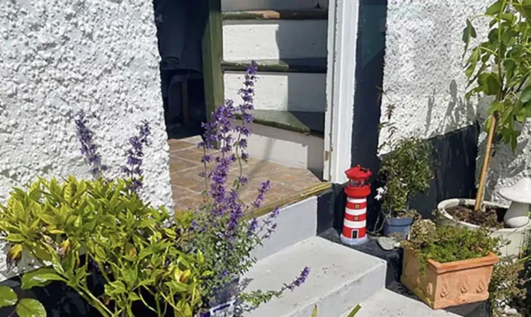 Μόνο οι πιο παρατηρητικοί θα μπορέσουν να εντοπίσουν τις δύο γάτες σε αυτή τη φωτογραφία: Μπορείτε να τις δείτε;