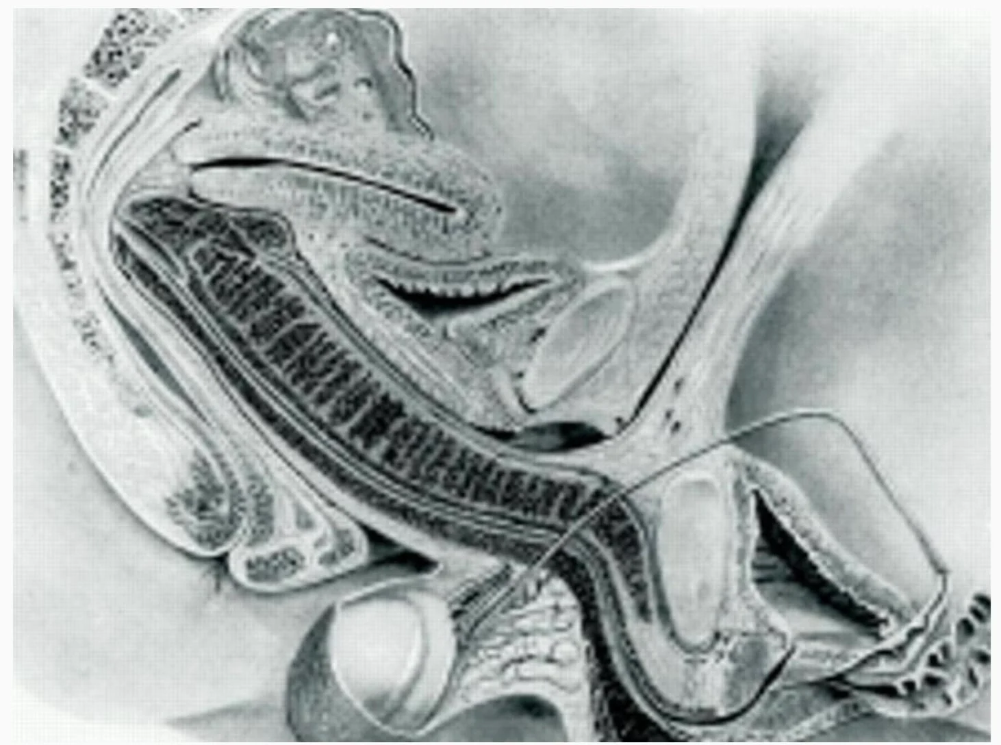 stigmiotypo othonis 2026 01 06 18.37.47