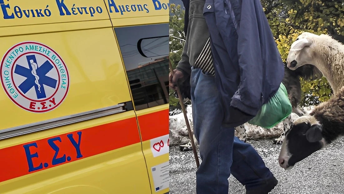 Σοκ στην Πιερία: Αυτοκτόνnσε κτηνοτρόφος – Είχαν θανατώσει το κοπάδι του