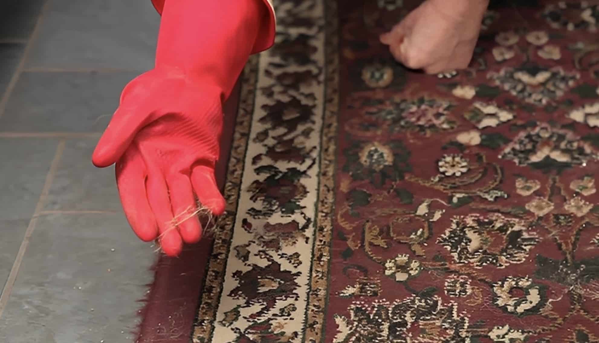 stigmiotypo othonis 2026 01 15 01.06.29