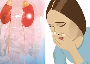 Κρεατινίνη: Τι δείχνει για την υγεία και πότε χρειάζεται προσοχή – Τα συμπτώματα που δεν πρέπει να αγνοήσουμε