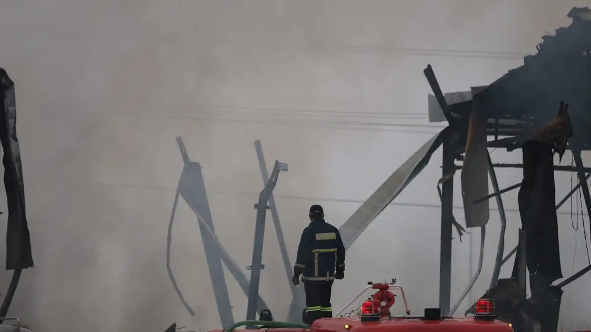 violanta11 26012026 1200x675 1