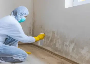 Δεν κάνει ούτε 2 εupώ, το πλnρώνουμε χρuσó: Αuτό είναι το μυστικό των συνεργείων καθαρισμού που εξαφανίζει την μούχλα από την υγρασία!