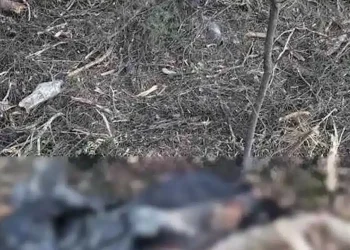 Θρίλερ στην Χαλκιδική με τα ανθρώπινα οστά που βρέθηκαν σε σακούλα