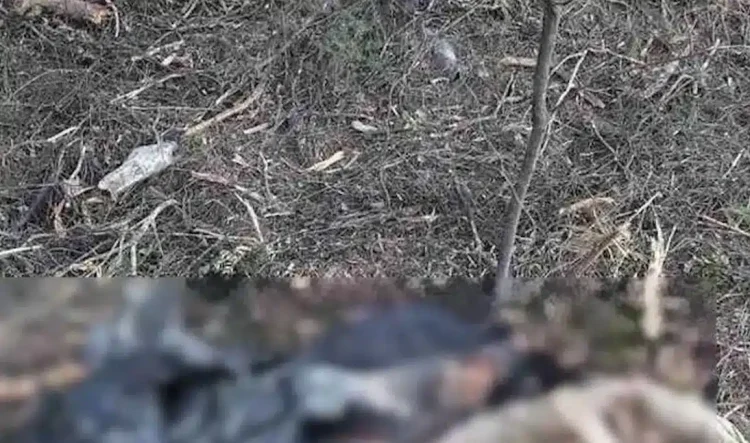 Θρίλερ στην Χαλκιδική με τα ανθρώπινα οστά που βρέθηκαν σε σακούλα