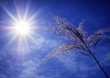 Καιρός: Έρχονται Αλκυονίδες; O υποτροπικός αεροχείμαρρος φέρνει την άνοιξη μέσα στο χειμώνα