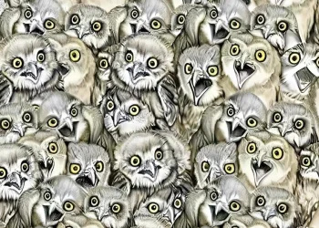 Μόνο άτομα με όραση 20/20 μπορούν να βρουν την γάτα στην εικόνα