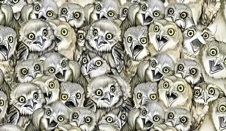 Μόνο άτομα με όραση 20/20 μπορούν να βρουν την γάτα στην εικόνα