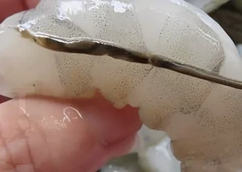 H «φλέβα» της γαρίδας: Η λεπτομέρεια στην μαγειρική που λίγοι γνωρίζουν και πολλοί συζητούν