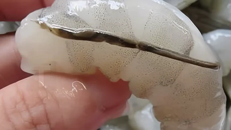 H «φλέβα» της γαρίδας: Η λεπτομέρεια στην μαγειρική που λίγοι γνωρίζουν και πολλοί συζητούν