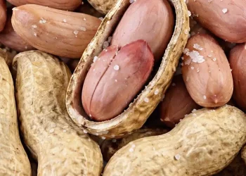 Οι γιατροί αποκαλύπτουν ότι η κατανάλωση φιστικιού προκαλεί…