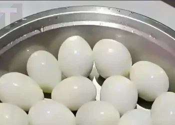 Πόσα αυγά βλέπετε σε αυτή την φωτογραφία;