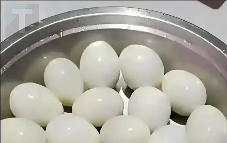 Πόσα αυγά βλέπετε σε αυτή την φωτογραφία;