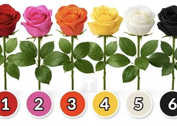 Διάλεξε ένα τριαντάφυλλο και ανακάλυψε τι είδους γυναίκα είσαι