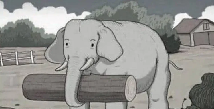 Μπορείτε να βρείτε το κρυμμένο άλογο; Δοκιμάστε αυτή την δύσκολη πρόκληση μέσα σε 7 δευτερόλεπτα