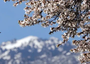 Μερομήνια 2026: Έρχεται Μάρτης «γδάρτης» – Πότε θα δούμε τα πρώτα χιόνια