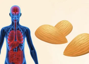 Αμύγδαλα κάθε μέρα: Τα σημαντικά οφέλη για την υγεία που αξίζει να γνωρίζετε