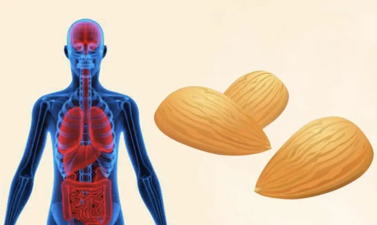 Αμύγδαλα κάθε μέρα: Τα σημαντικά οφέλη για την υγεία που αξίζει να γνωρίζετε