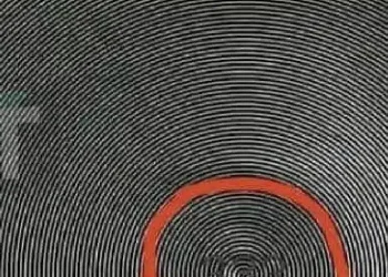 Μπορείτε να εντοπίσετε τον κρυμμένο αριθμό στην φωτογραφία;