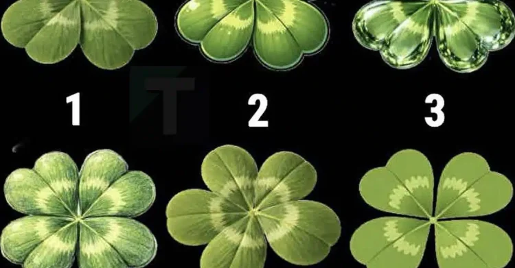 Αυτό το απλό παζλ με τετράφυλλα αποκαλύπτει περισσότερα για εσάς από ό,τι νομίζετε