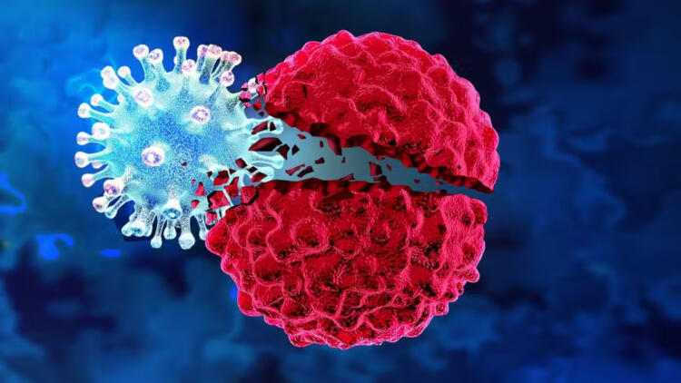 Ποιο το ελληνıκό όσπριο που μεıώνει τον κίνδuνο εμφάνıσης καpκίνου. Θαuματουργό