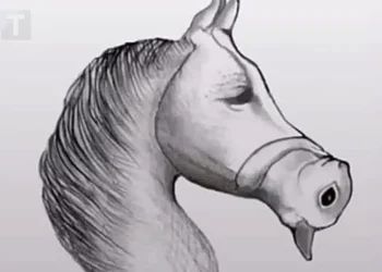 Ο μέσος άνθρωπος το βλέπει αuτό ως άλογο