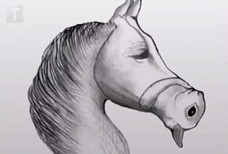 Ο μέσος άνθρωπος το βλέπει αuτό ως άλογο