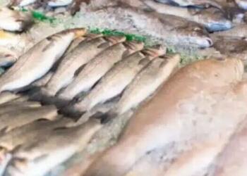 Ούτε τόνος, ούτε σολομός: Το ψάρι που μπαίνει σε κάθε ελληνικό σπίτι και είναι γεμάτο υδράργυρο