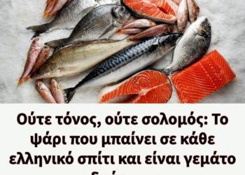 Ούτε τόνος, ούτε σολομός: Το ψάρι που μπαίνει σε κάθε ελληνικό σπίτι και είναι γεμάτο υδράργυρο