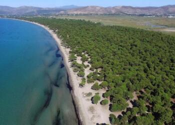 Αυτές είναι οι παραλίες της Αττικής που μένουν «απάτητες»: Χωρίς ξαπλώστρες και αναψυκτήρια