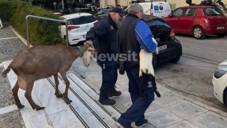 Δεν θα πιστεύετε ποιος είναι ο άντρας που το είχε παράνομο μαντρί στους Αμπελόκήπους