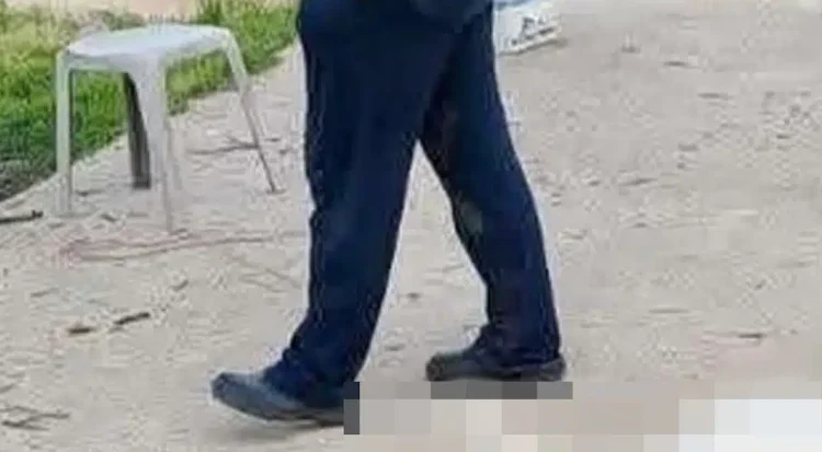 Βάβδος Χαλκιδικής: «Βρίσκαμε το ένα πτώμα μετά το άλλο» – Μαζική δηλητηρίαση αδέσποτων, τουλάχιστον 21 νεκρά σκυλιά