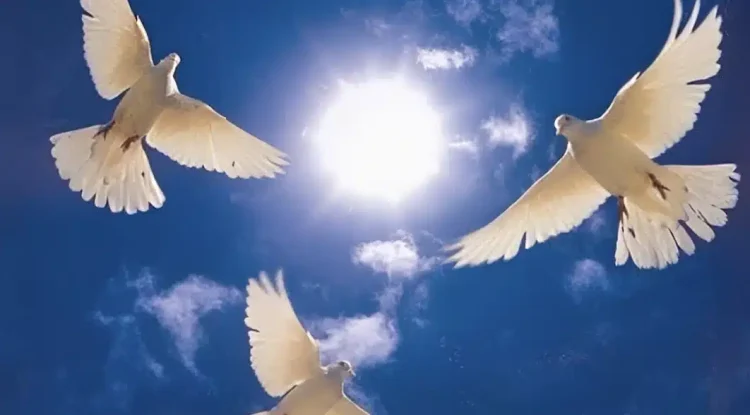 Αγίου Πνεύματος 2026: Πότε πέφτει, για ποιους είναι αργία