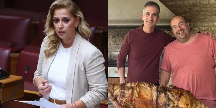 Αντιδράσεις μετά την επίθεση της Ραλλίας Χρηστίδου στον Μπακογιάννη για τη φωτό με τον οβελία – «Εσύ, έφαγες σπανακόρυζο;»