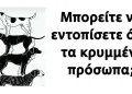 Μπορείτε να εντοπίσετε όλα τα κρυμμένα πρόσωπα;