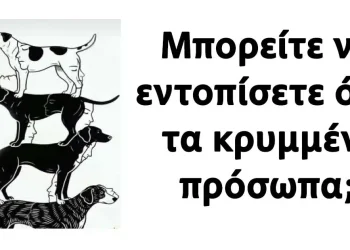 Μπορείτε να εντοπίσετε όλα τα κρυμμένα πρόσωπα;