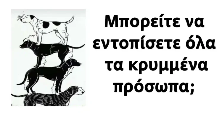 Μπορείτε να εντοπίσετε όλα τα κρυμμένα πρόσωπα;