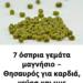 7 όσπρια γεμάτα μαγνήσιο – Θησαυρός για καρδιά, νεύρα και μυς