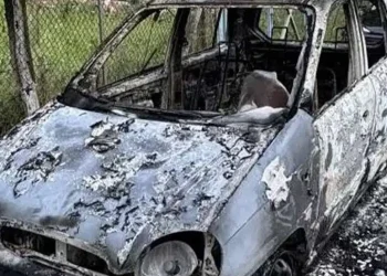 Έκαψαν αυτοκίνητο πολίτη που κατήγγειλε κακοποιήσεις ζώων – H τρίτη φορά που δέχεται ανάλογη επίθεση
